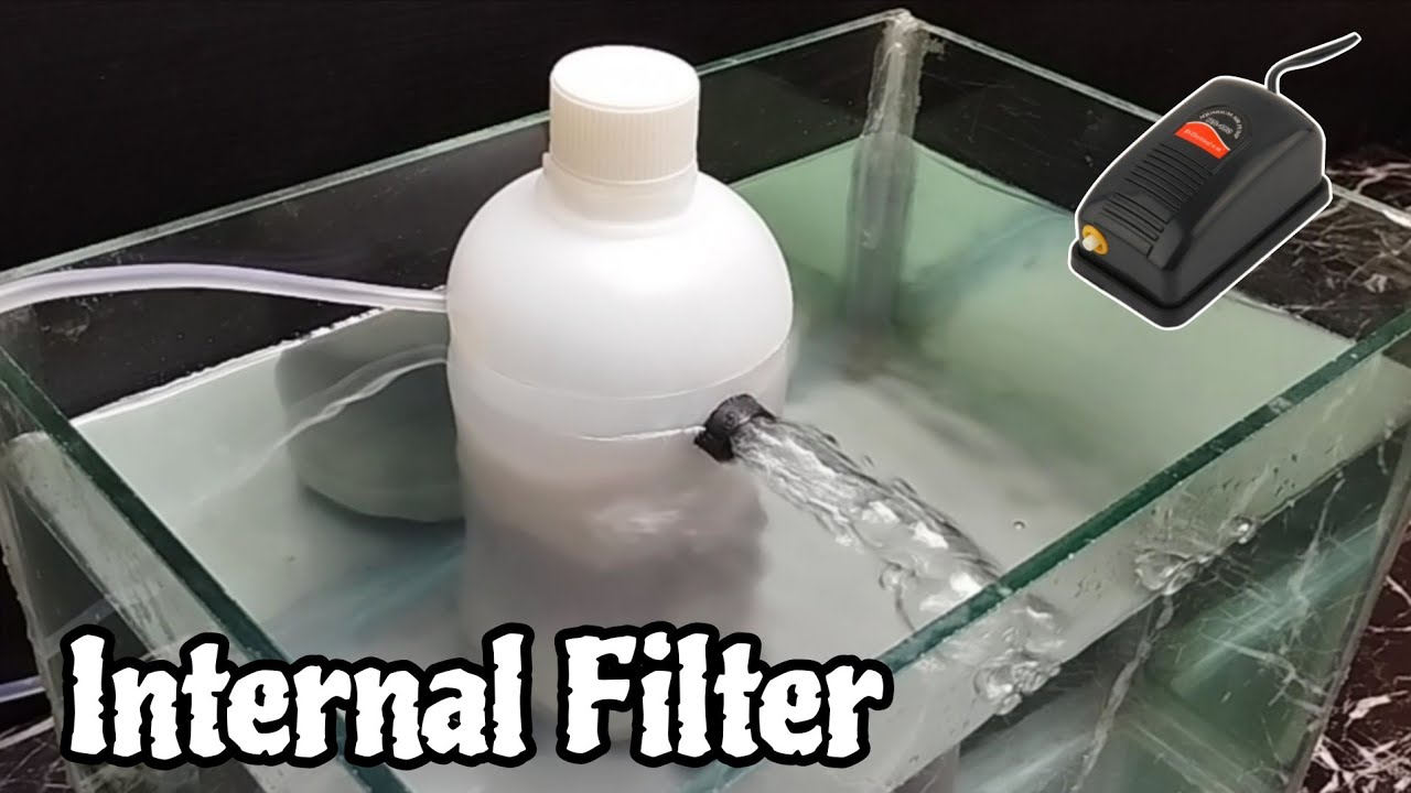 Build a Stunning Aquarium Filter from a Bottle | Aquarium Filter DIY