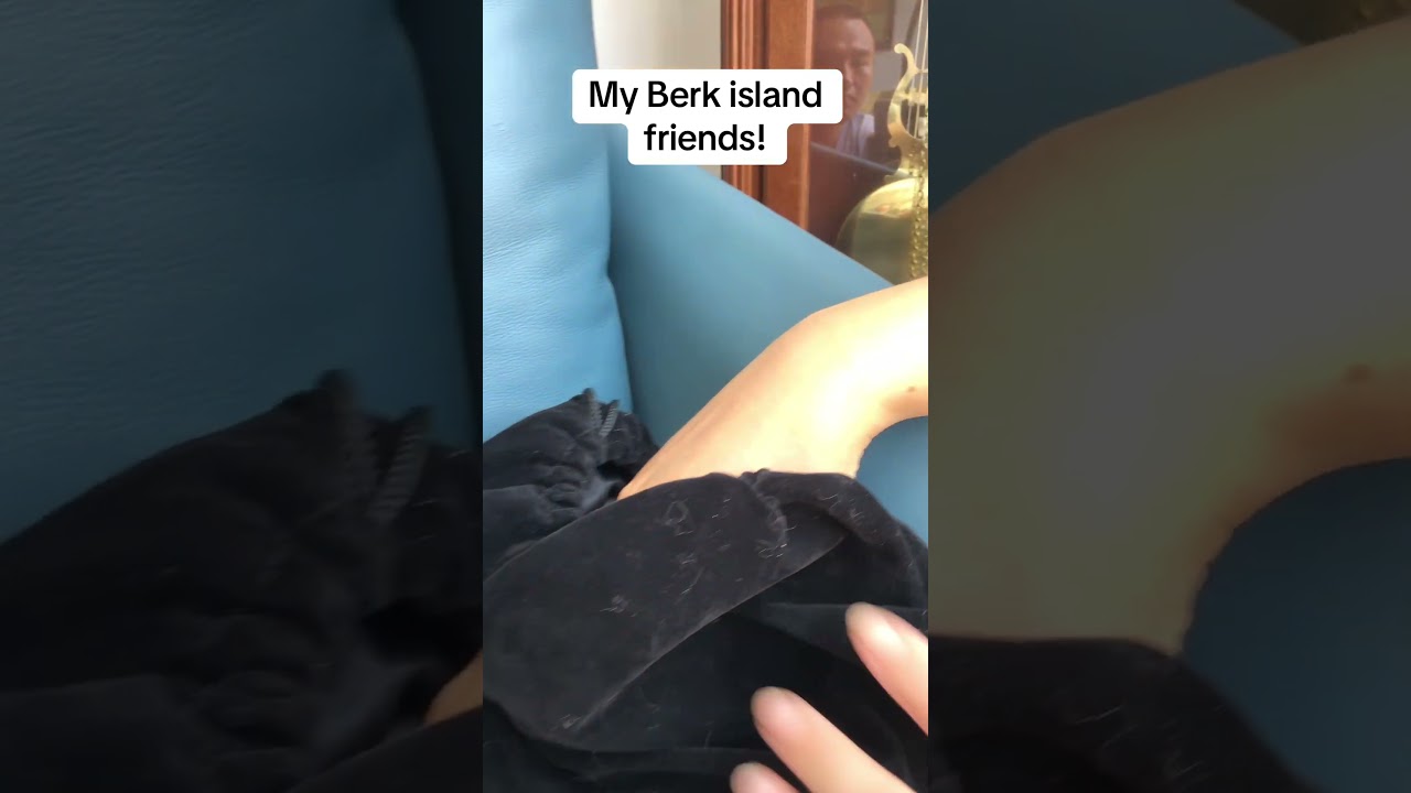 My Berk island friends! 