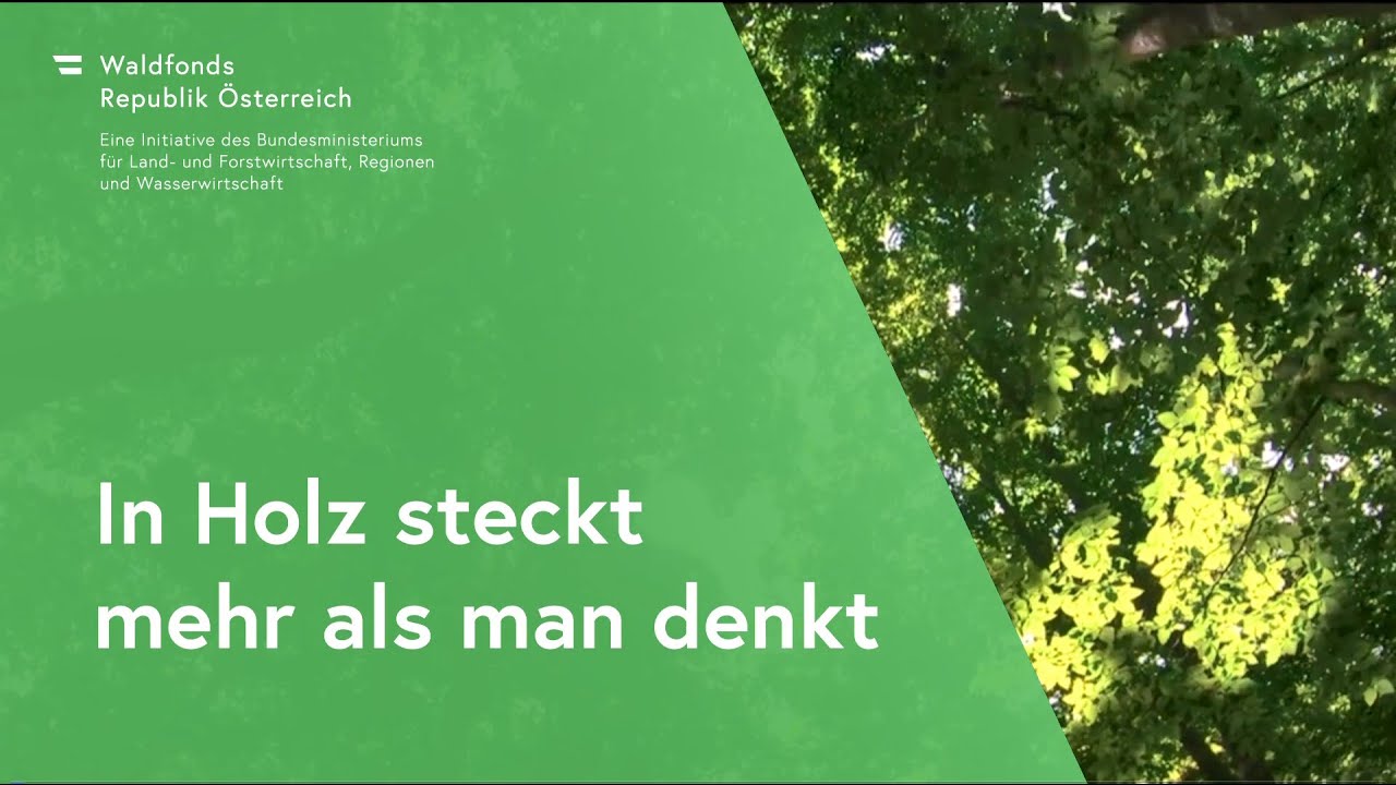 In Holz steckt mehr als man denkt