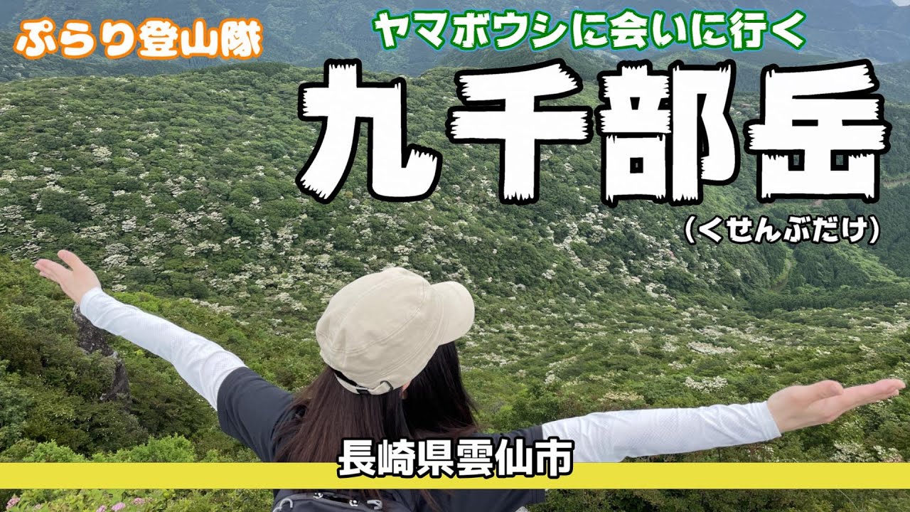 【九州百名山】ヤマボウシを求めて「九千部岳」に登ったよ٩( ''ω'' )و