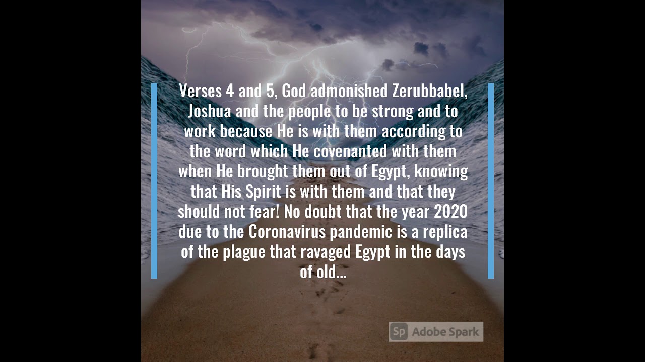 Prophecy 2021 Updated