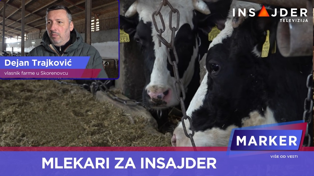 Mlekari za Insajder: Ako se ne ispune naši zahtevi, apsolutno će nestati proizvodnja mleka u Srbiji