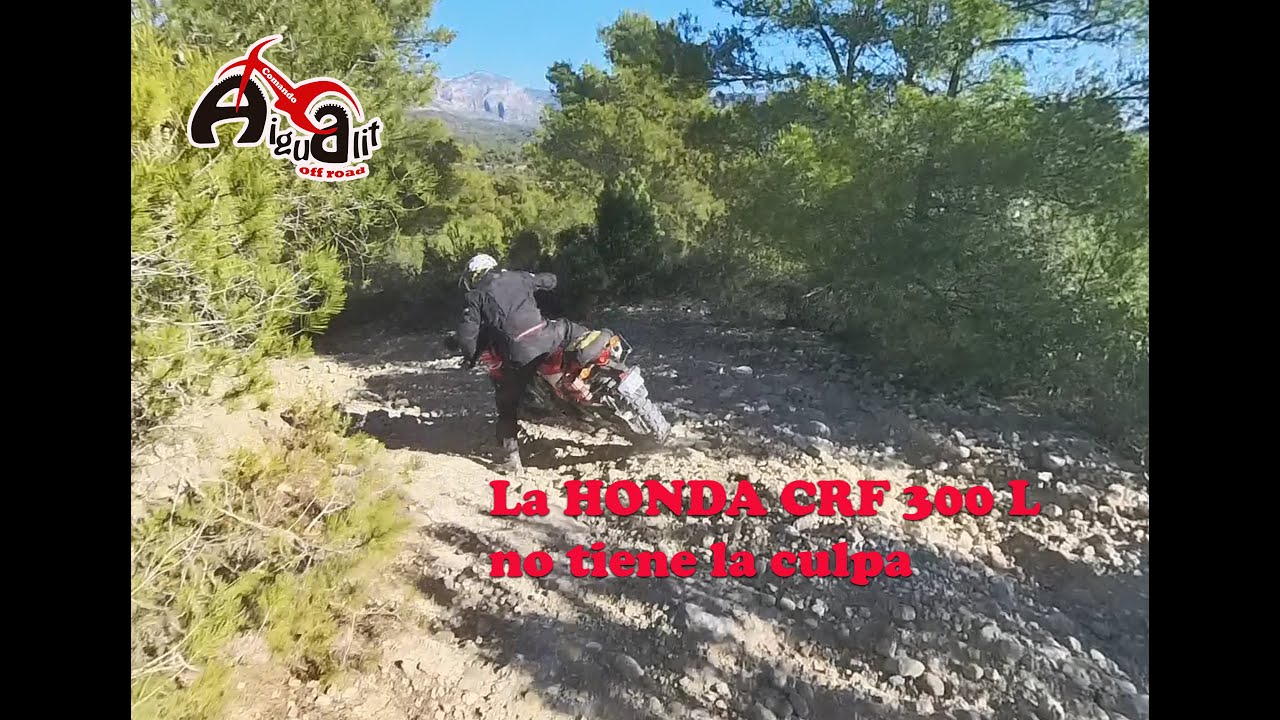 La HONDA CRF 300 L no tiene la culpa