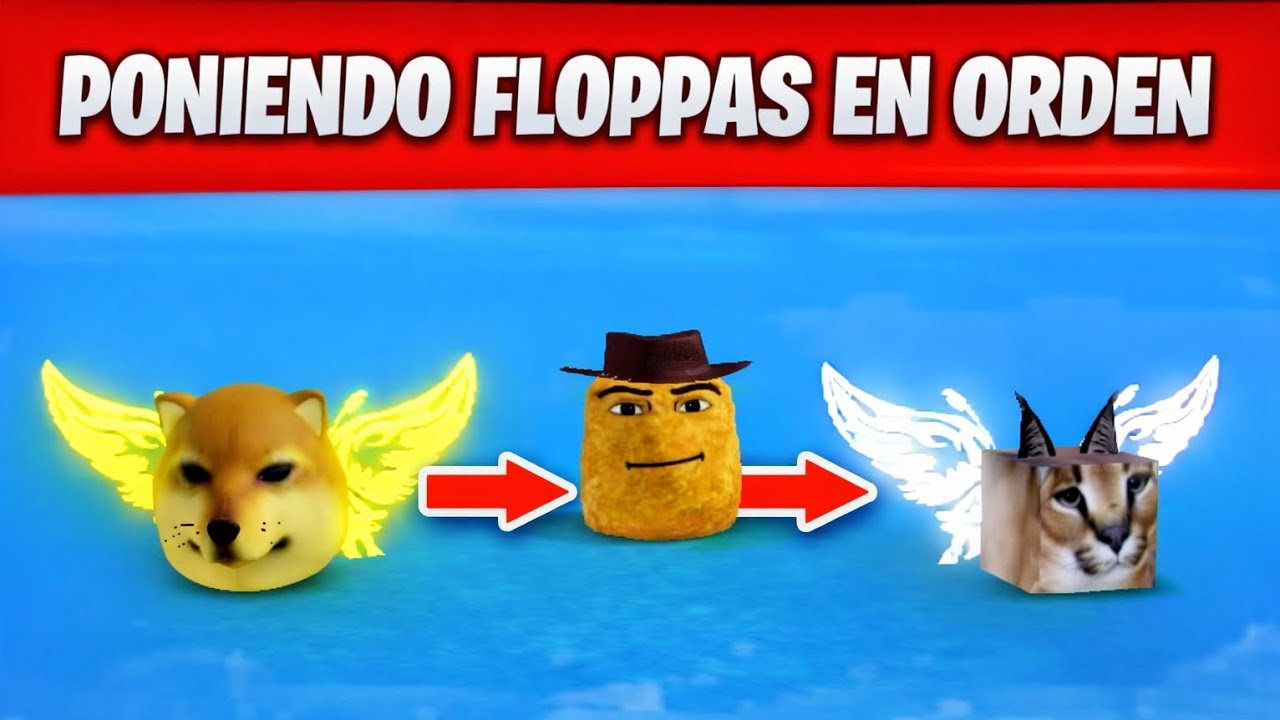 Poniendo floppas en orden|meme sea