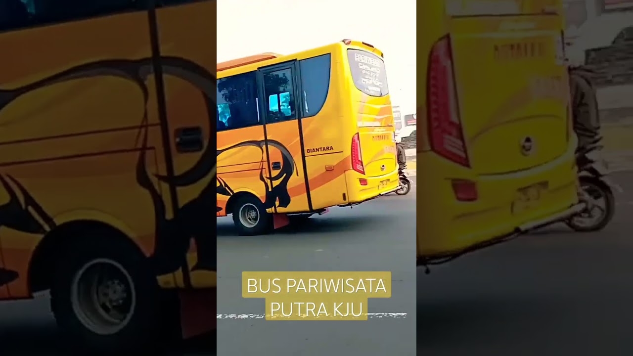 BUS PARIWISATA PUTRA KJU ❗