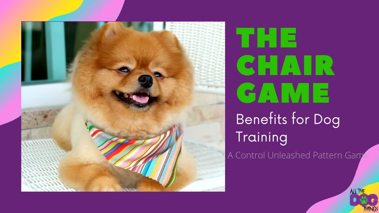 The Chair Game | Dog Training | Control Unleashed