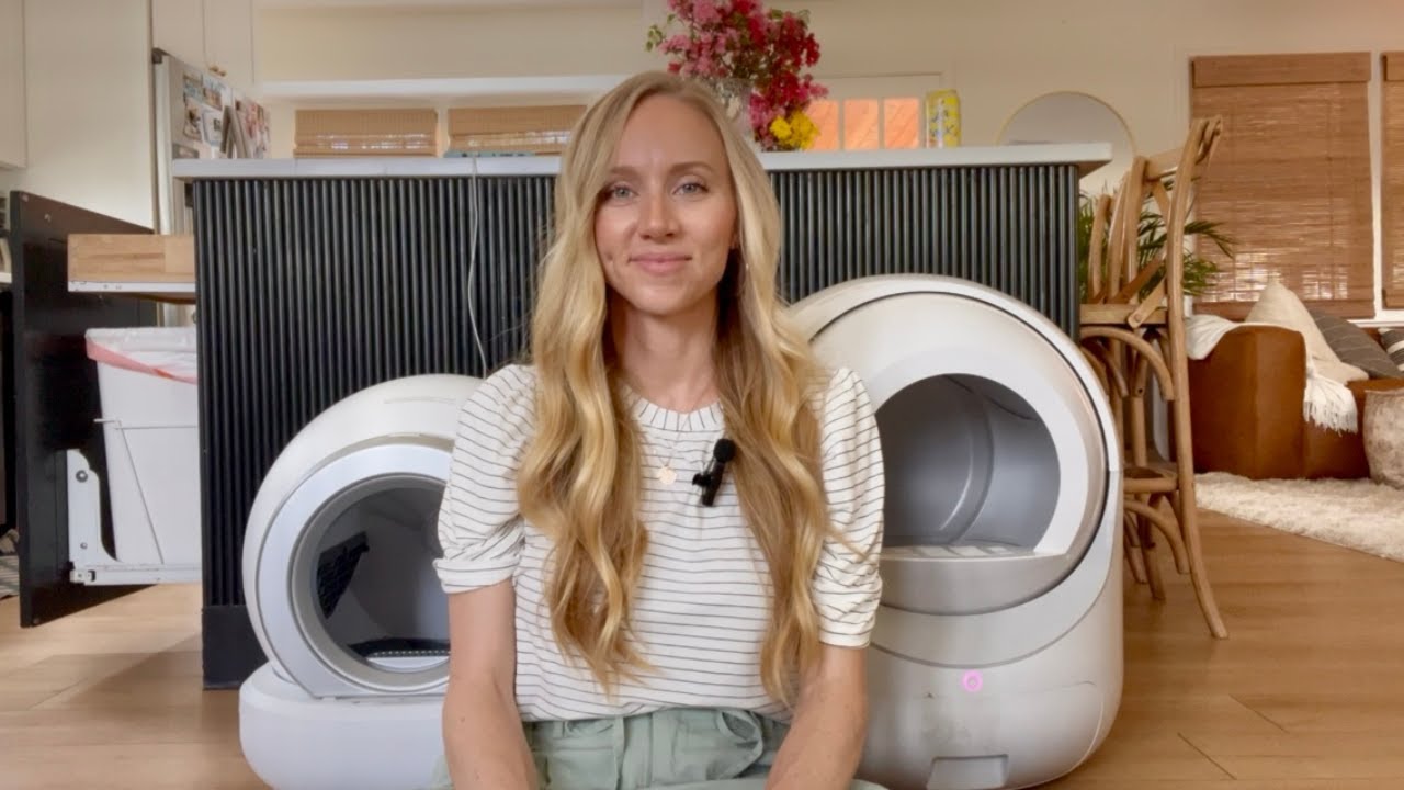 Which Litter Box is Worth Your Money? Bcharya vs Warcat!
