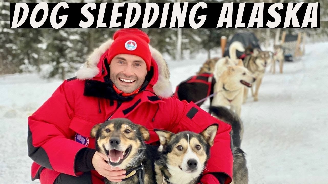 Dog Mushing in Fairbanks, Alaska (IDITAROD)