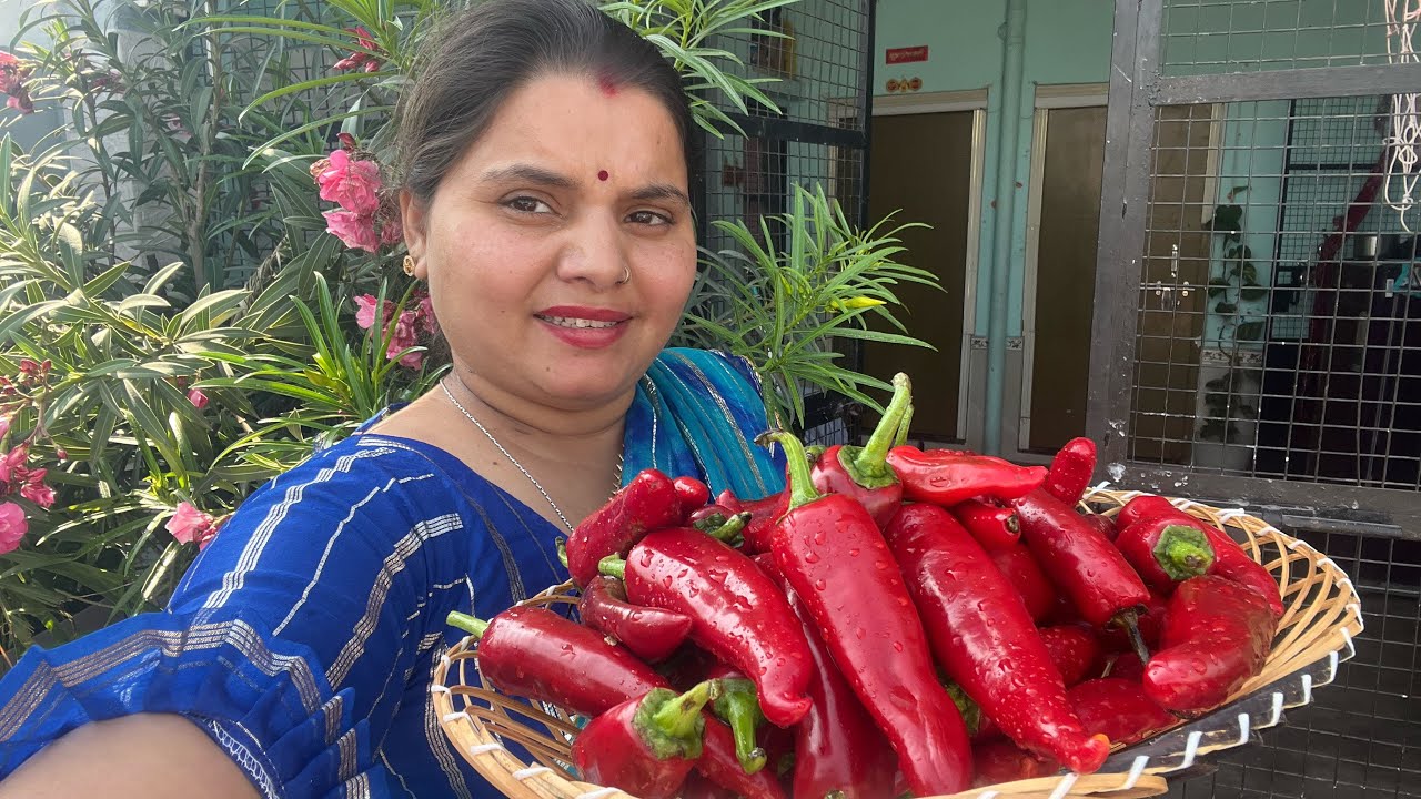 हसबैंड की पसंद का रखा लाल मिर्ची 🌶️ का अचार 🥒 hair cutting vlog😭#vlog 