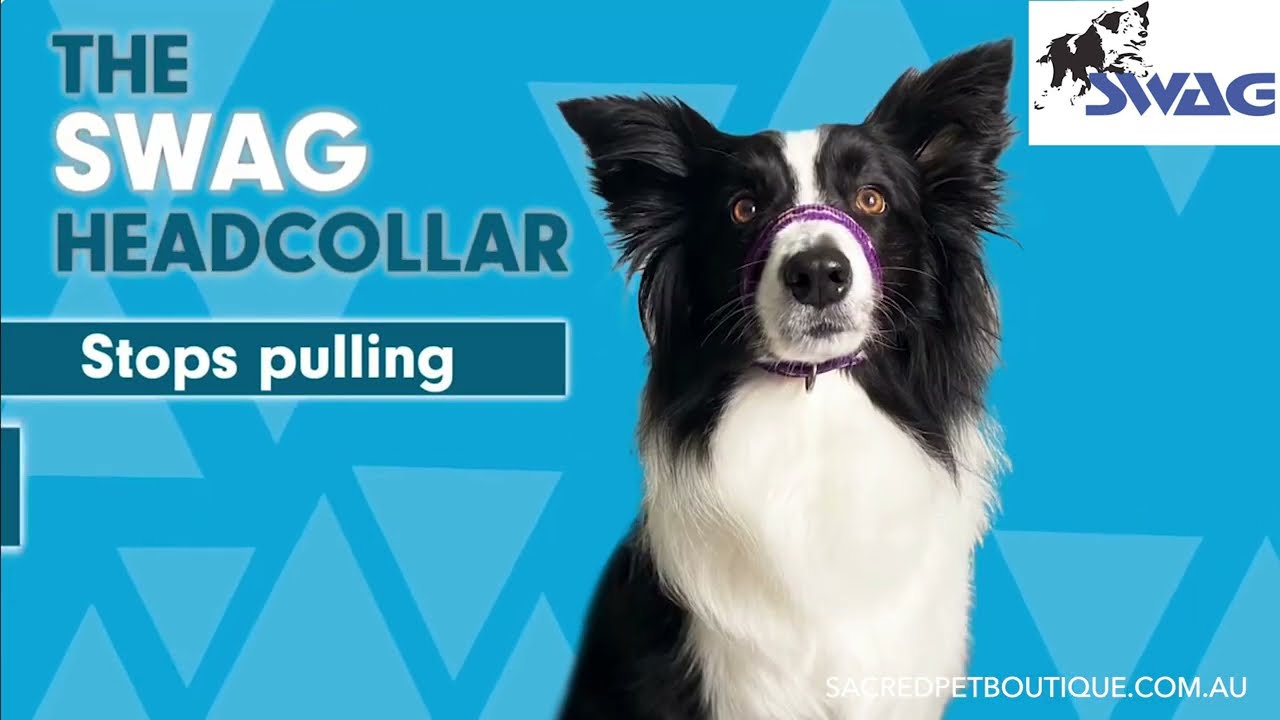 How to fit the SWAG head collar
