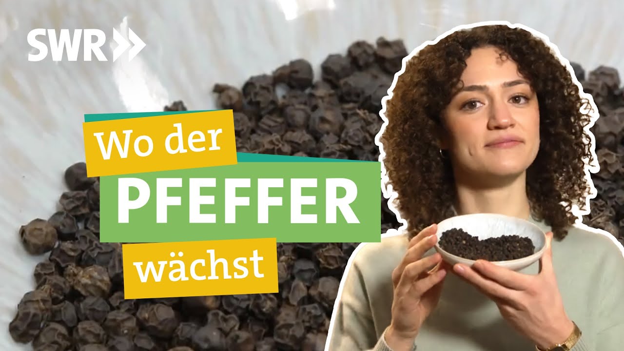 Pfeffer: So problematisch ist der Anbau I Ökochecker SWR