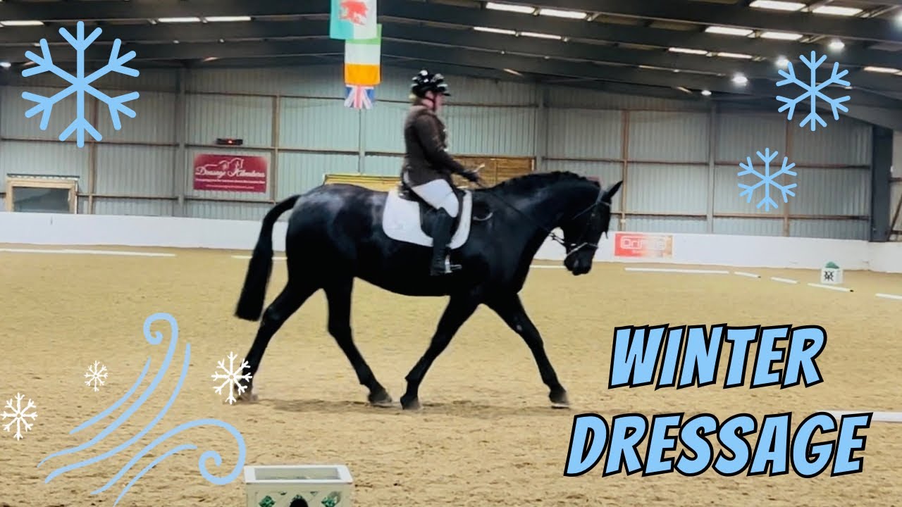 Видеоблог о выездке - предварительный этап 2 2024 #выездка #предварительный этап #шоу лошадей