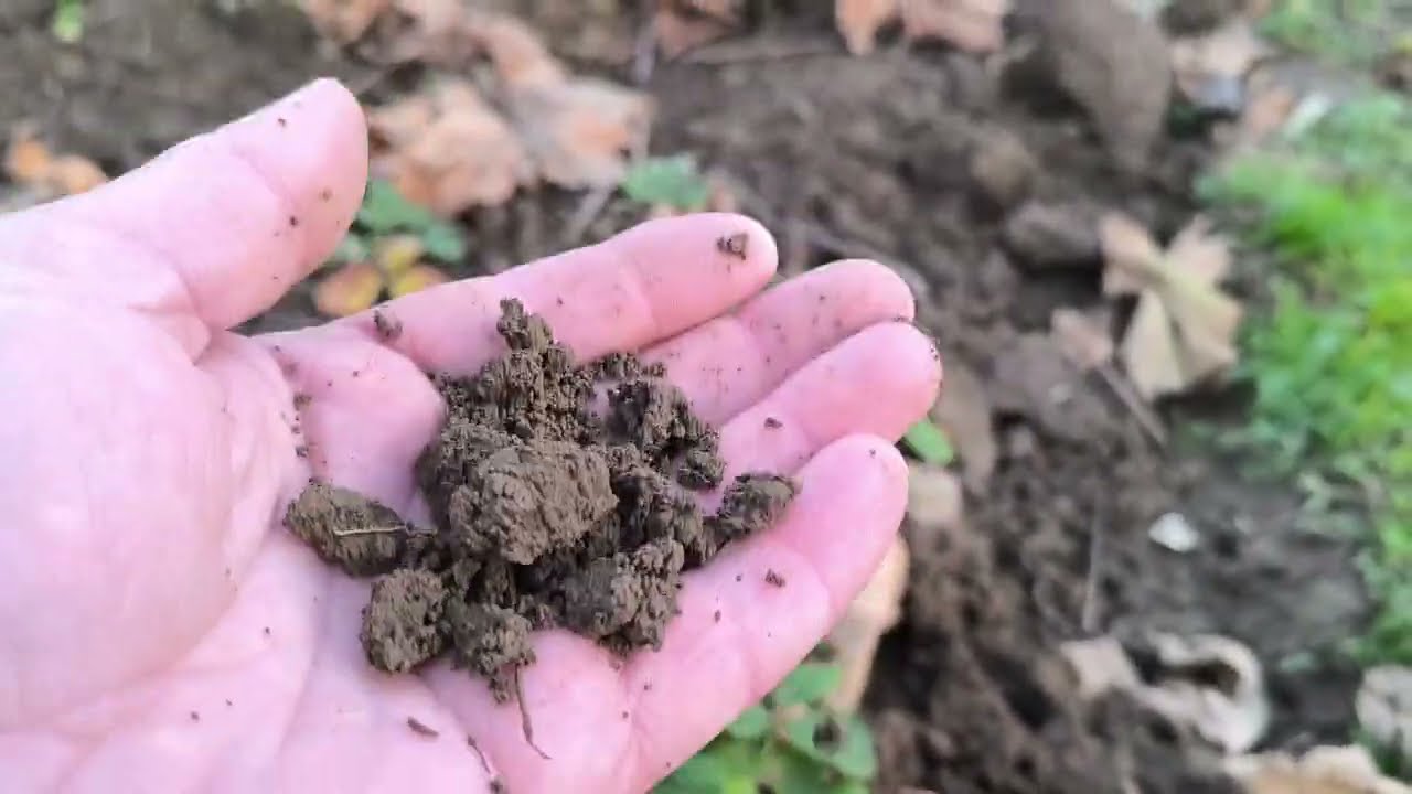 Ernövel 2/3, Vastag zsíros veszök terem vagy nem tapasztalat........