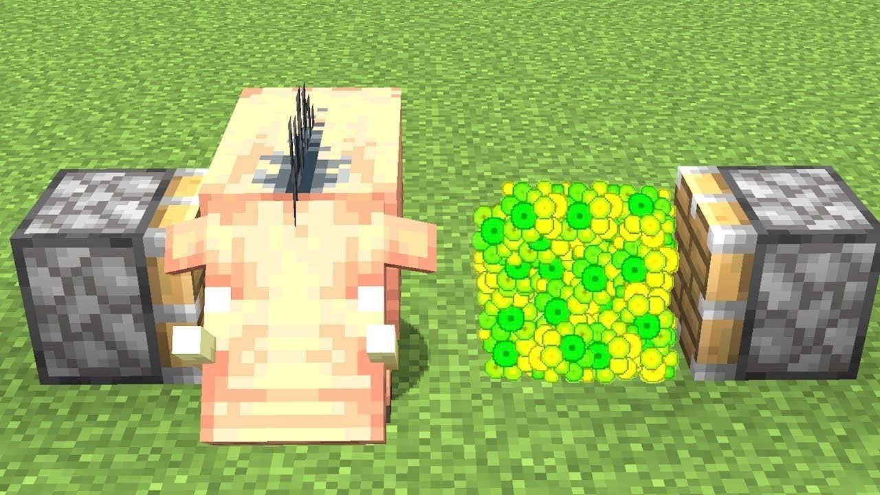 hoglin + xp = ???