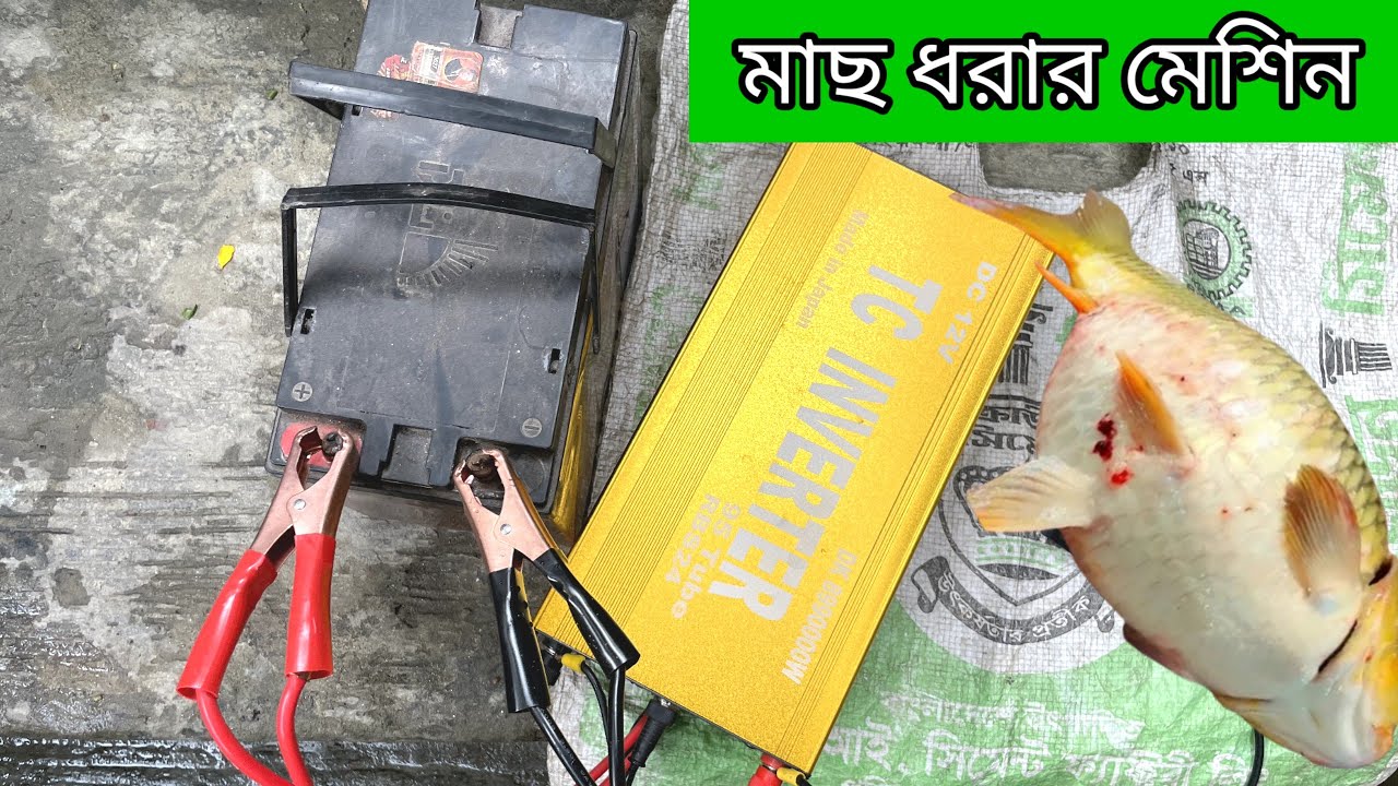 মাছ ধরার মেশিন ইলেকট্রনিক মাছ ধরার মেশিন বেপারি দিয়ে মাছ ধরার মেশিন সট দিয়ে মাছ ধরার মেশিন