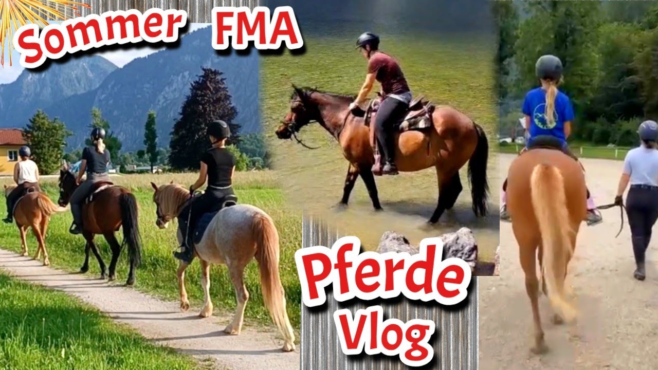 Pferde Vlog - FMA 🤠 Ausritte 🤠 Auswärts - Trainings 🐴 Konzerte 🎸 Paddock - Trail 🐴 Reit - Prüfung 🥳
