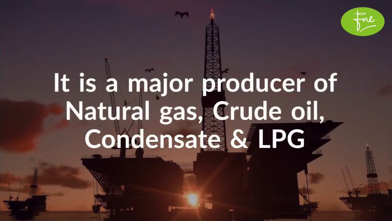 MARI Petroleum Company Review