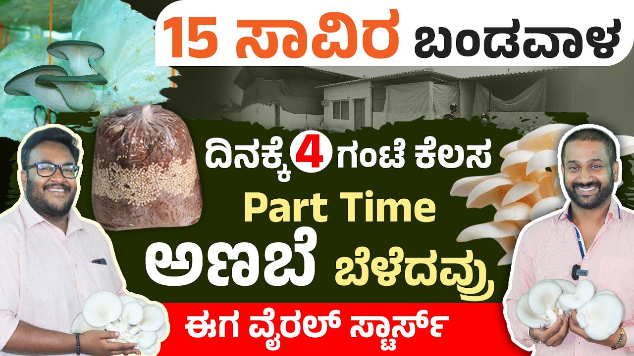 ಮನೆಯಲ್ಲಿಯೇ 15 ಸಾವಿರದಲ್ಲಿ ಅಣಬೆ ಕೃಷಿ ಮಾಡುವುದು ಹೇಗೆ? Mushroom Farming Kannada | Oyster Mushroom