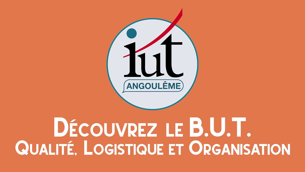 Présentation B.U.T. QLiO 2021