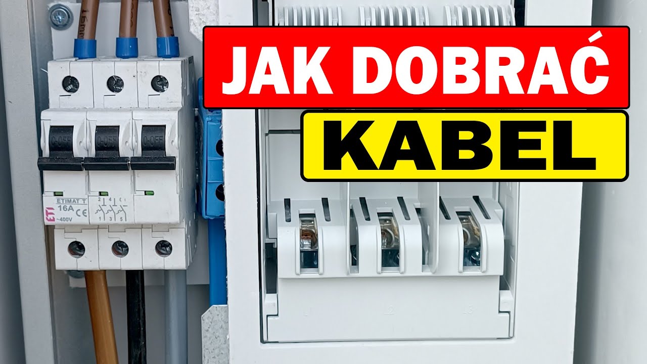 Dobór WLZ krok po kroku dla początkujących i nie tylko
