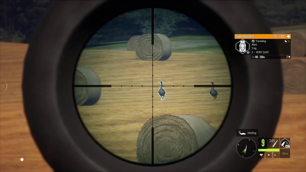 Hunting for my first great one