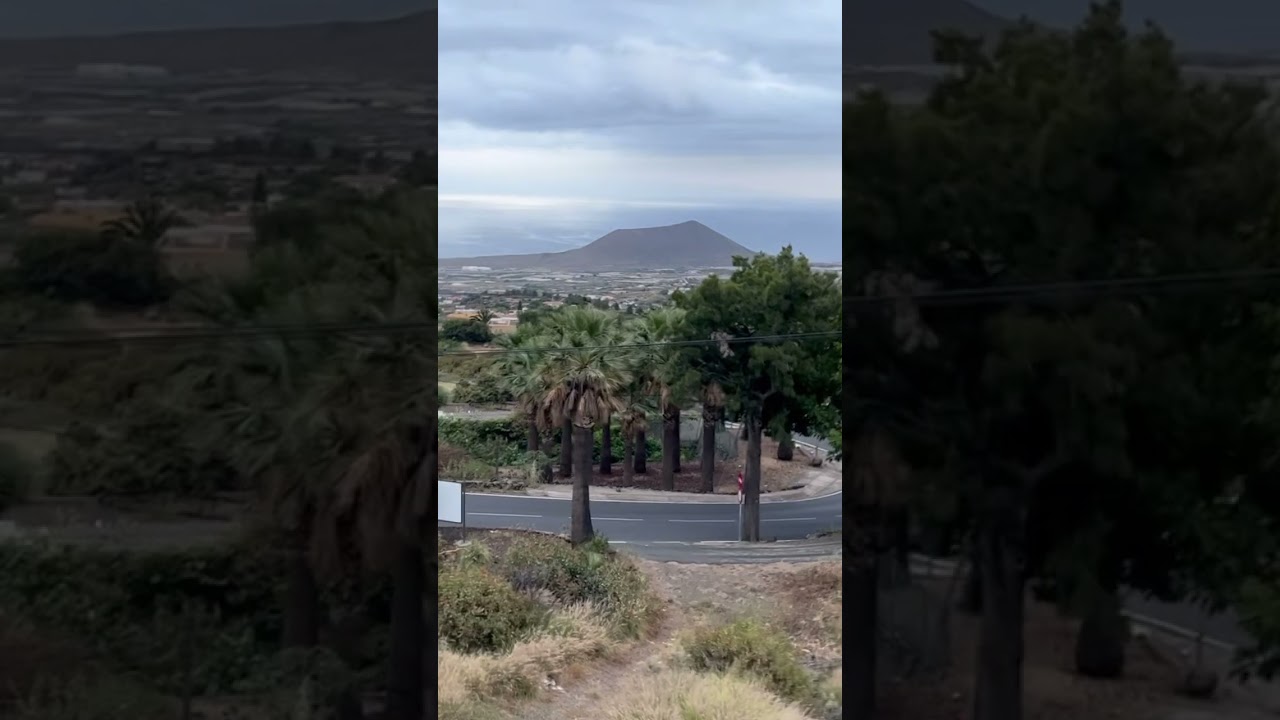 Walking in Arafo, Tenerife