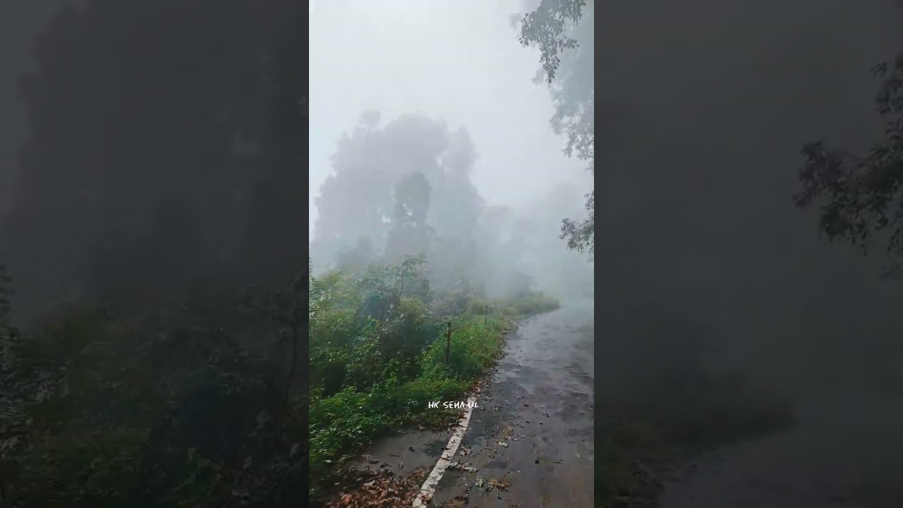 #kalimpong Going to Lolegaon kaffer 💫😎