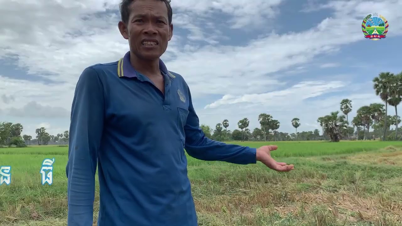 ទិវាស្រែកសិករ Farmer Fielday