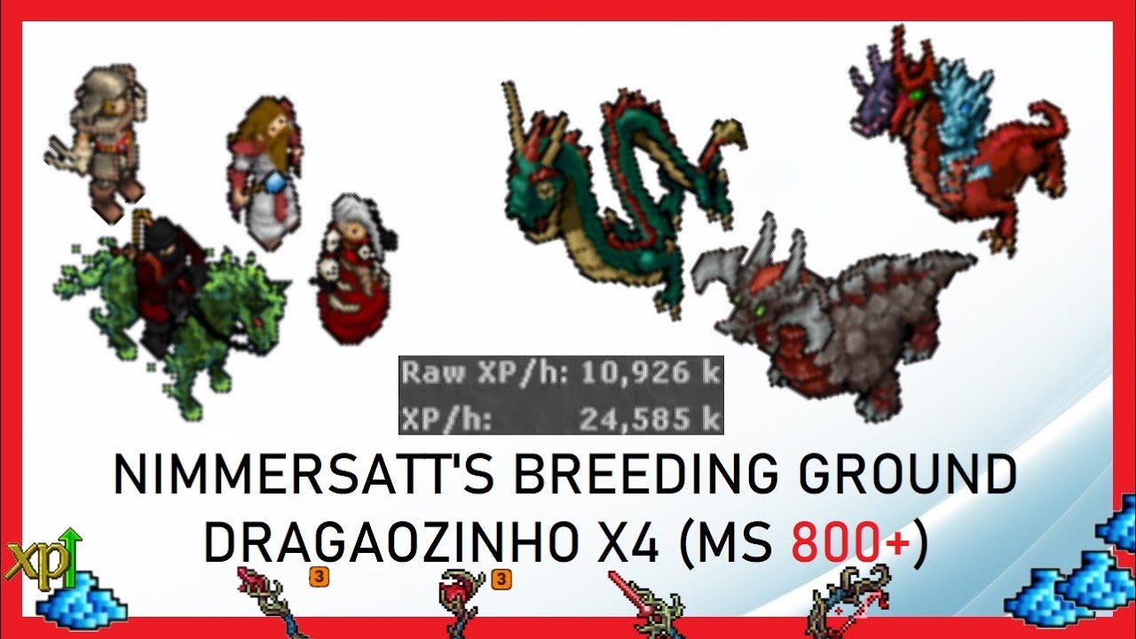 Tibia Hunt - Drag&atilde;ozinho x4 (MS 800+)