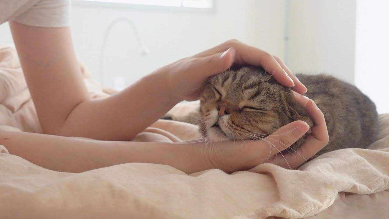 루루에게 팔베개를 해줬습니다