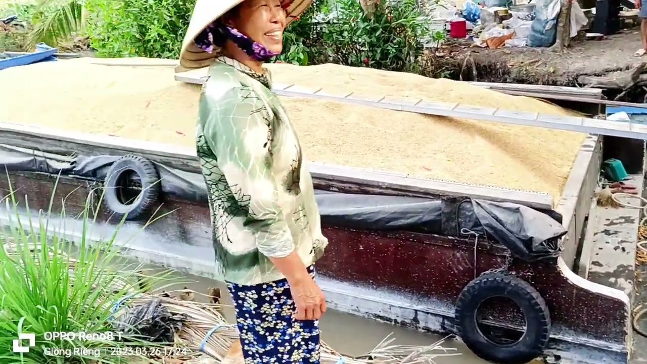 Ghe lúa Mắc Kạn Trong Kinh