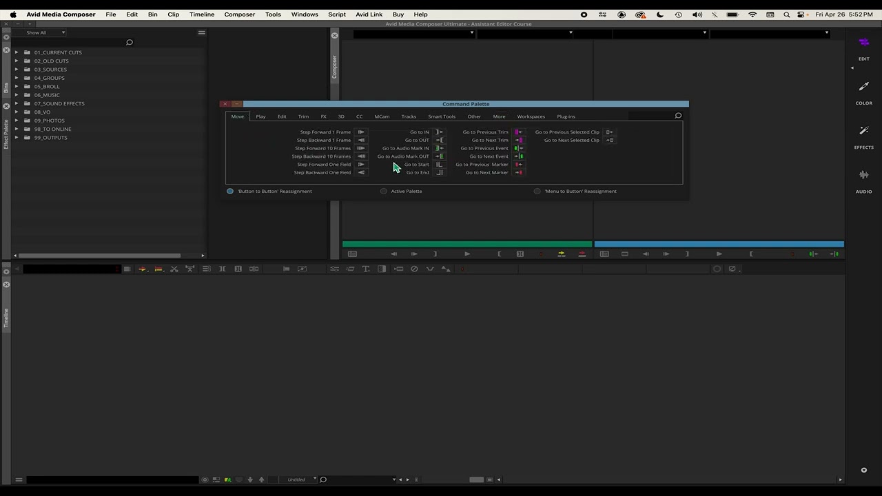 Avid Media Composer - Lesson 4 - Customizing your Timeline