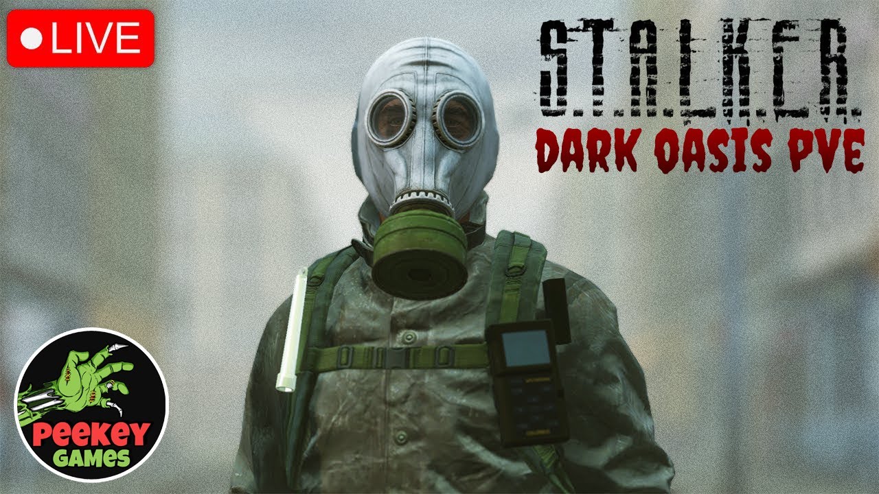 🛑 DayZ Stalker Pve 