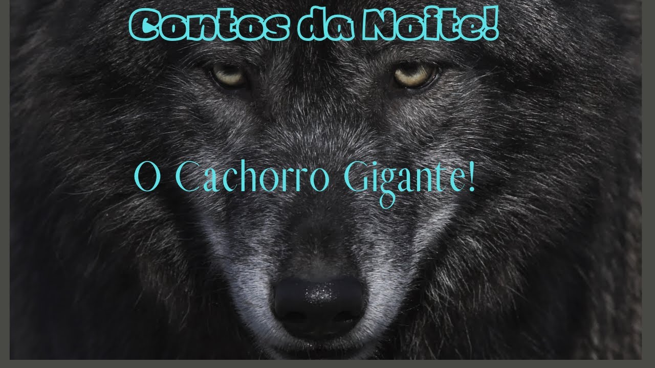 O CACHORRO GIGANTE # 8