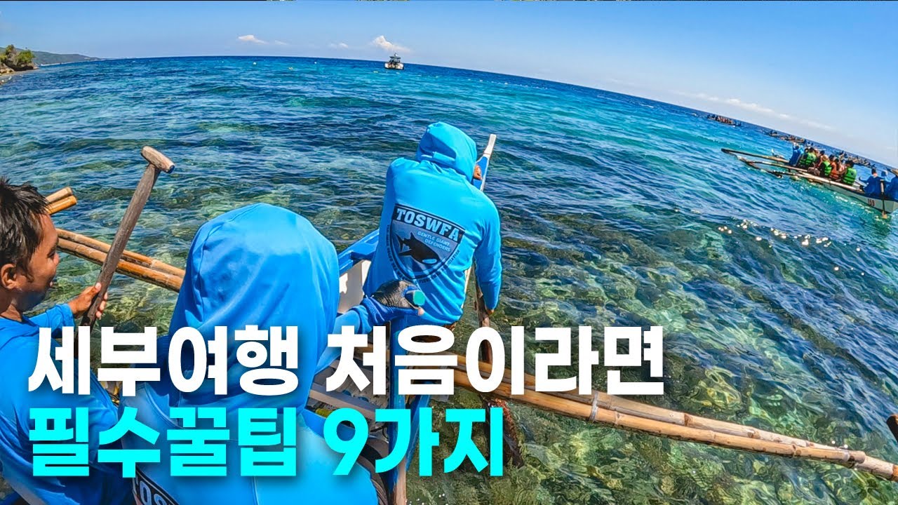 🇵🇭세부 여행이 처음이라면? 놓치면 후회할 꿀팁 9가지
