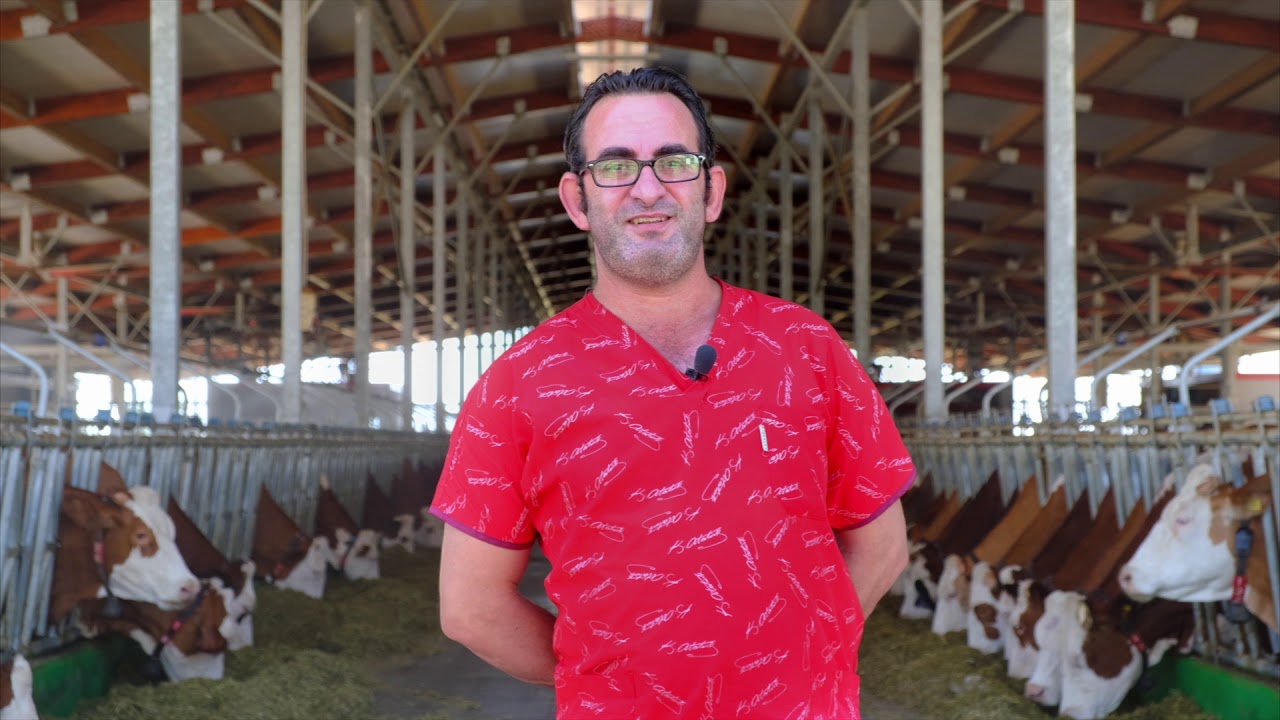 Hasan Türek Müşteri Deneyimi - Juno