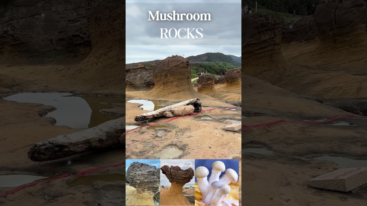 Mushroom Rocks in Sandstone | Natural or Artificial?  #education #nature