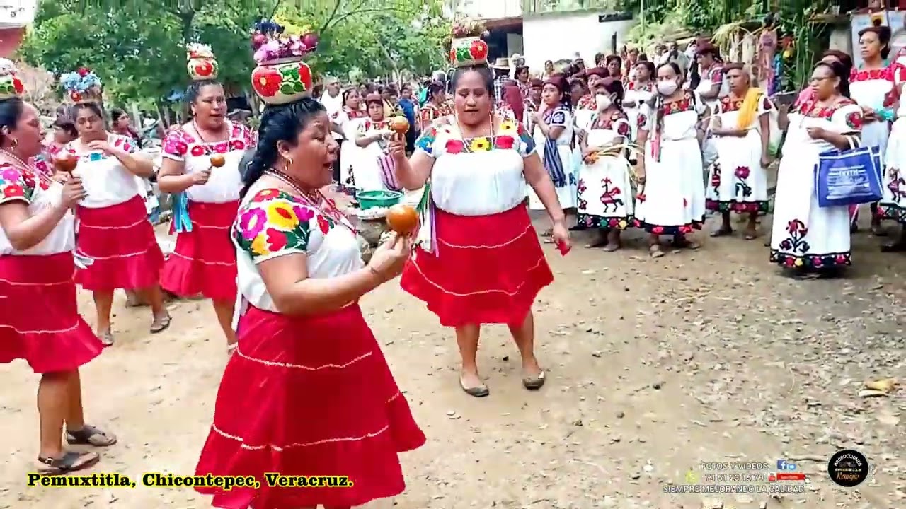 🌾DANZAS 