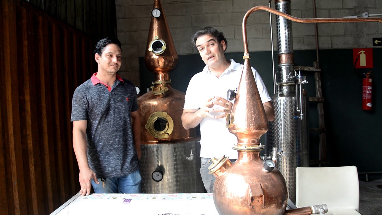 Introdução sobre produção de gin. Botânicos do gin . Curso de gin na prática. Fabricar gin.