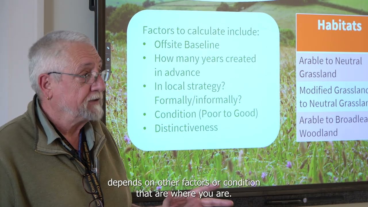 What is Biodiversity Net Gain (BNG)? A Simple Guide
