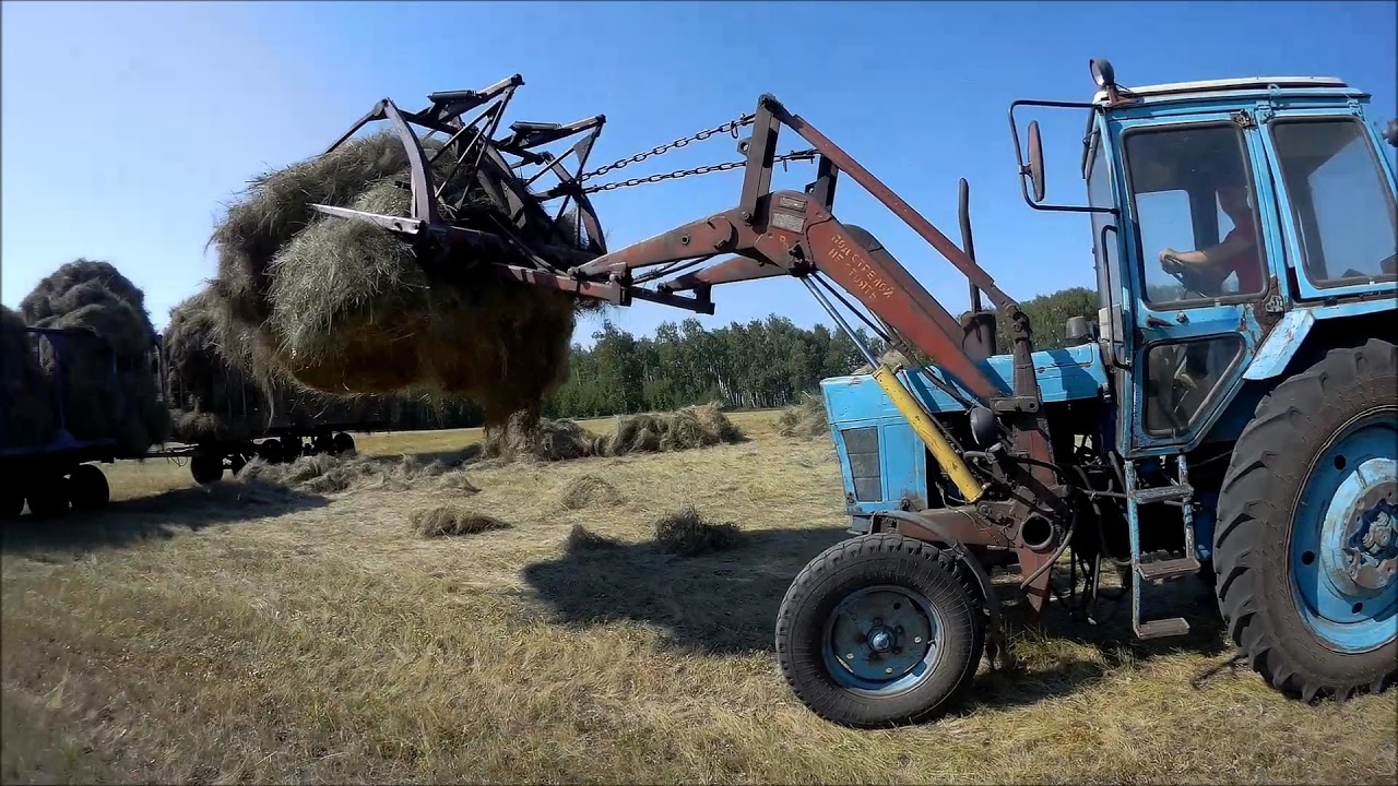 МТЗ 80 кун  Работа на сенокосе, погрузка сена.
