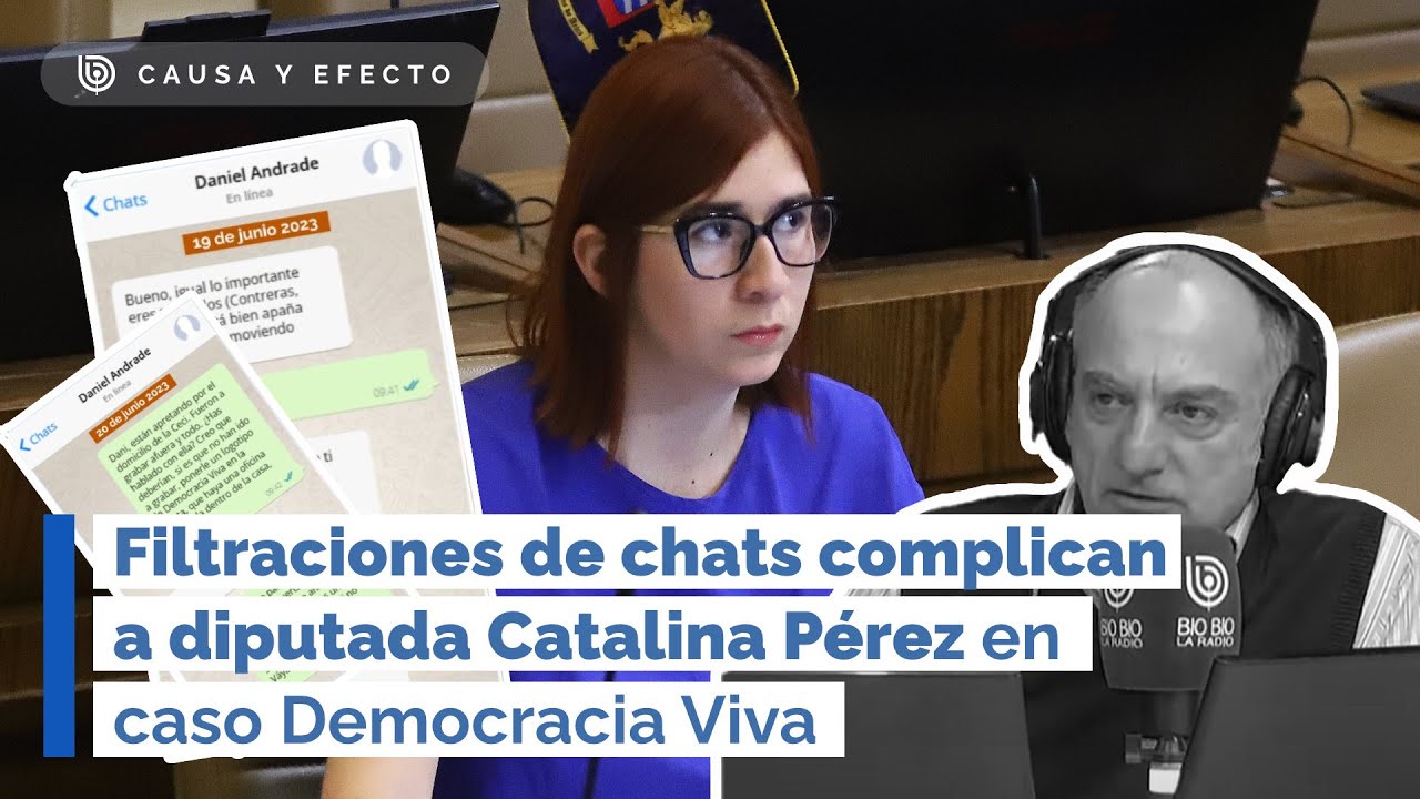 Filtraciones de chats complican a diputada Catalina Pérez en caso Democracia Viva (RD)