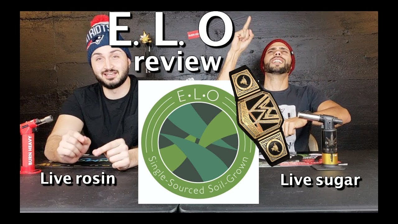 elo review (papaya cake #2 live rosin & live sugar)