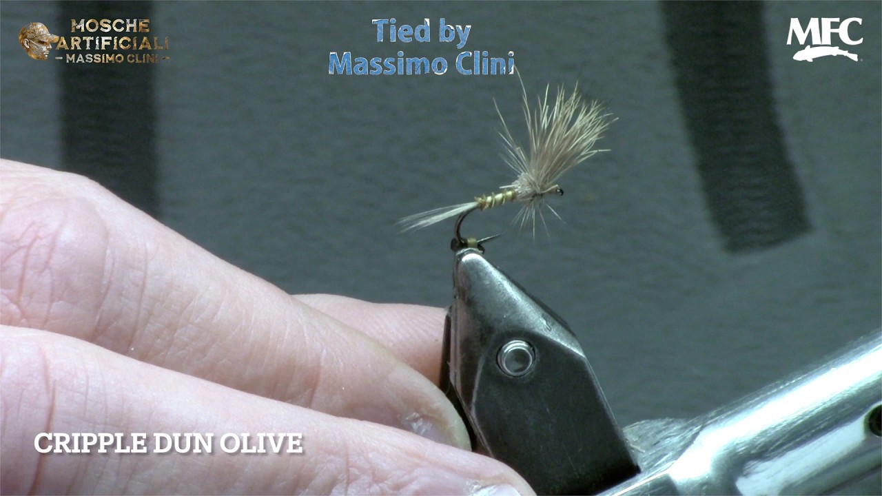 Costruzione Cripple Dun Olive | L'Imitazione che Inganna le Trote più Difficili