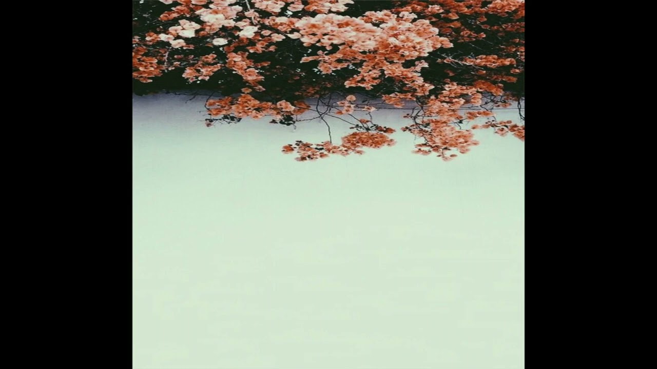 ✰free// 