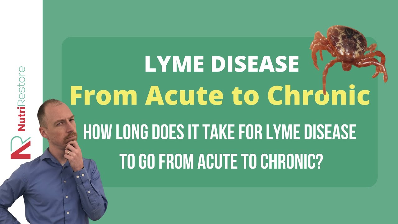 How long does it take for Lyme disease to go from acute to chronic?