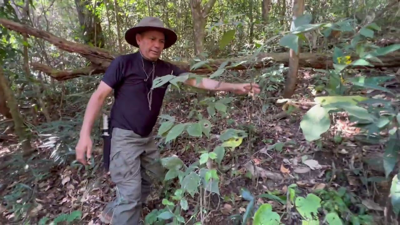 Atlacatl 2Do Salto Donde Paso 4Ta Compañía Del Batallón Atlacat Sur De Cerro De #Guazapa_ # Guerra_