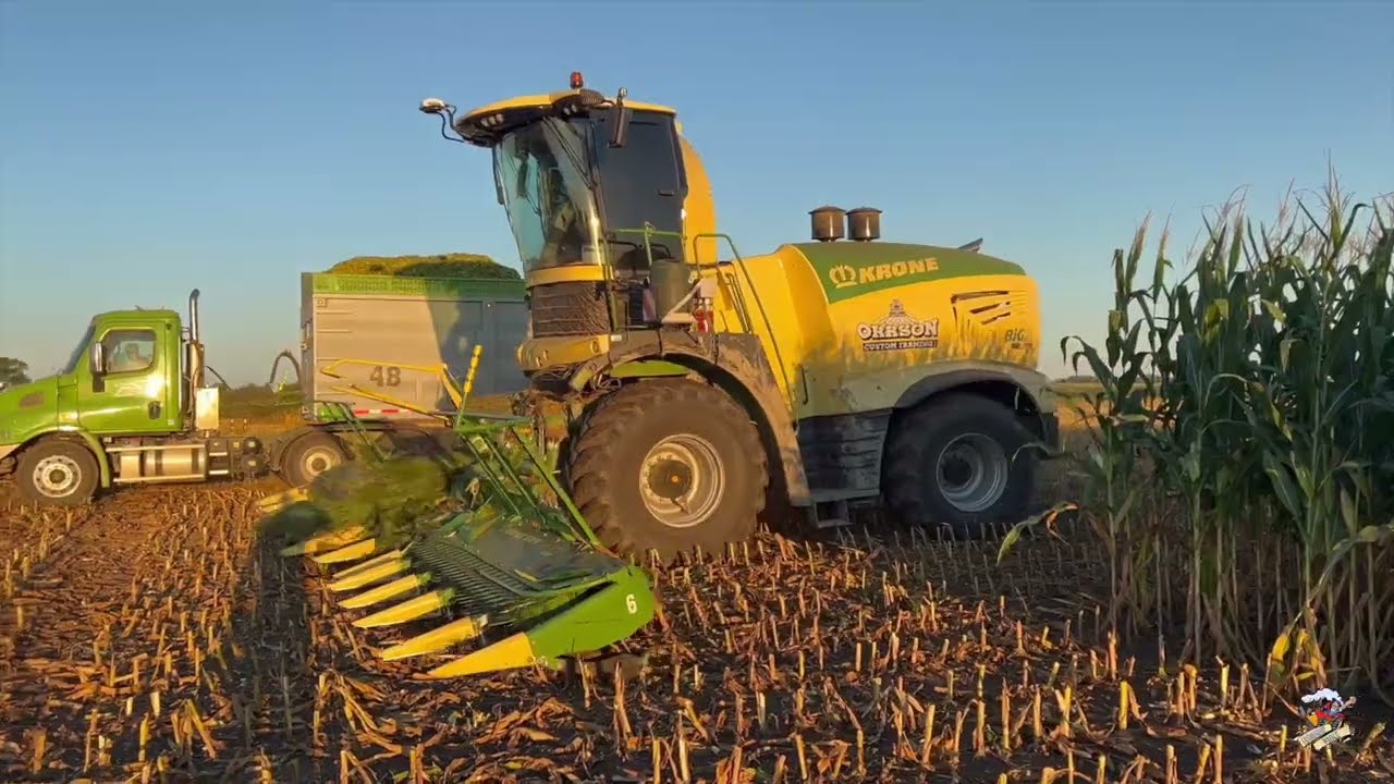 Сбор кукурузного силоса от Orrson Custom Farming на северо-западе штата Огайо