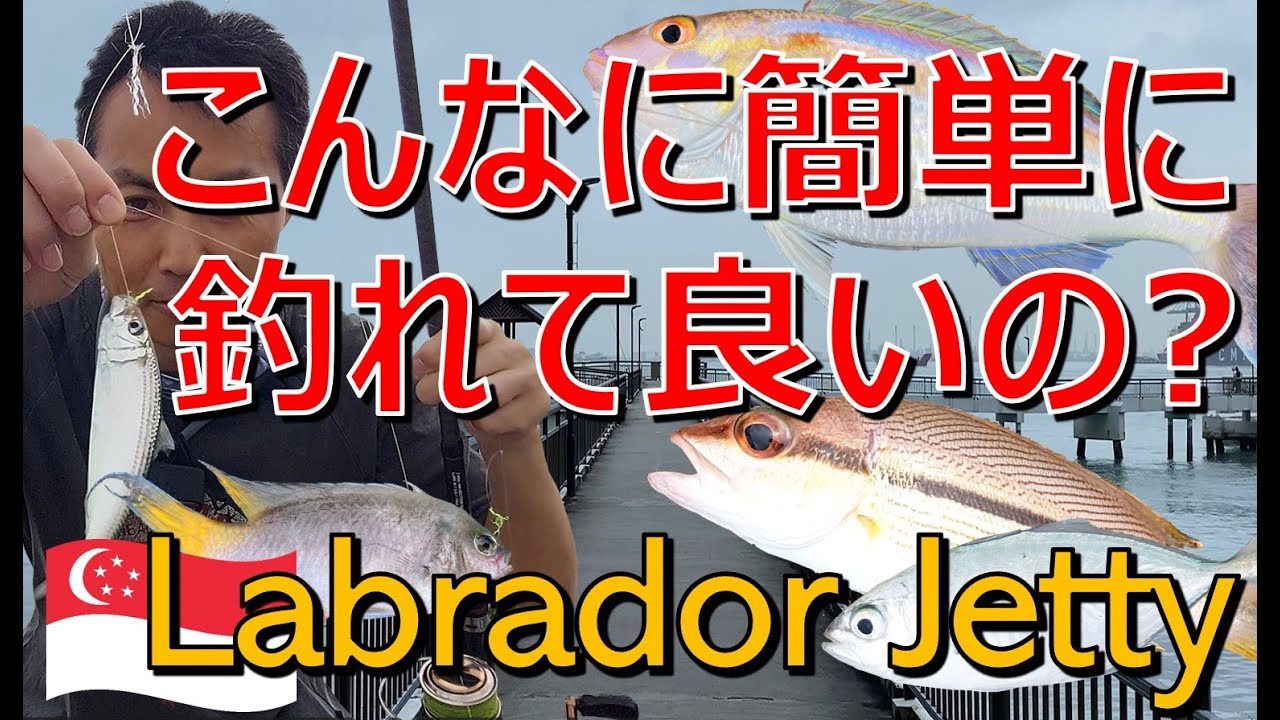 So easy to catch fish?『Labrador Park Jetty』シンガポール海釣り：こんなに簡単に釣れて良いの？ (Saltwater Fishing in Singapore)