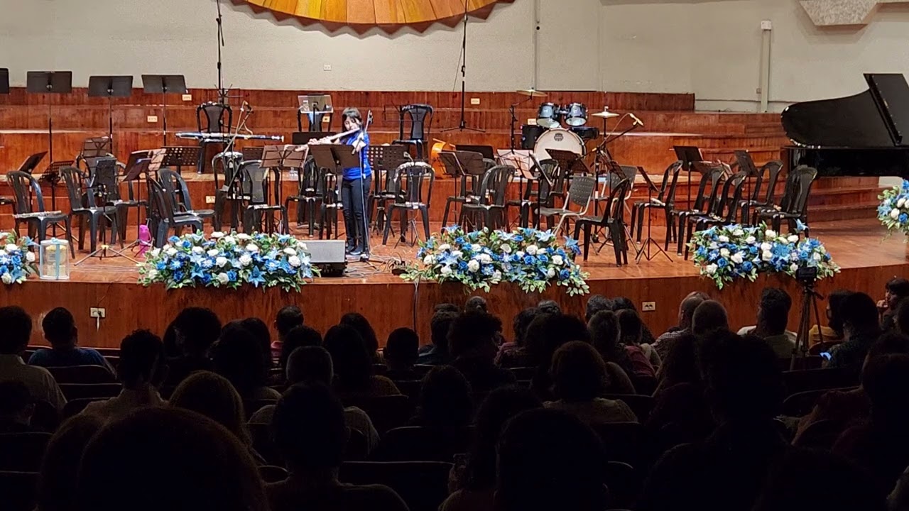 Emily Hernández - Concierto en Sol mayor Karl Stamitz I Mvt Allegro